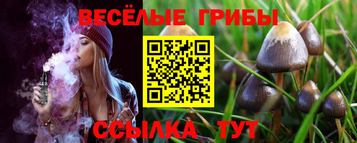 Псилоцибиновые грибы Cubensis  Вход с VPN  Галлюциногенные грибы мицелий  Зеленодольск 