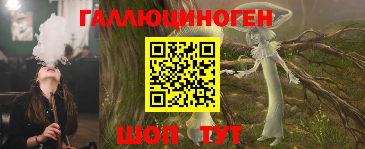 Псилоцибиновые грибы Psilocybine cubensis Зеленодольск